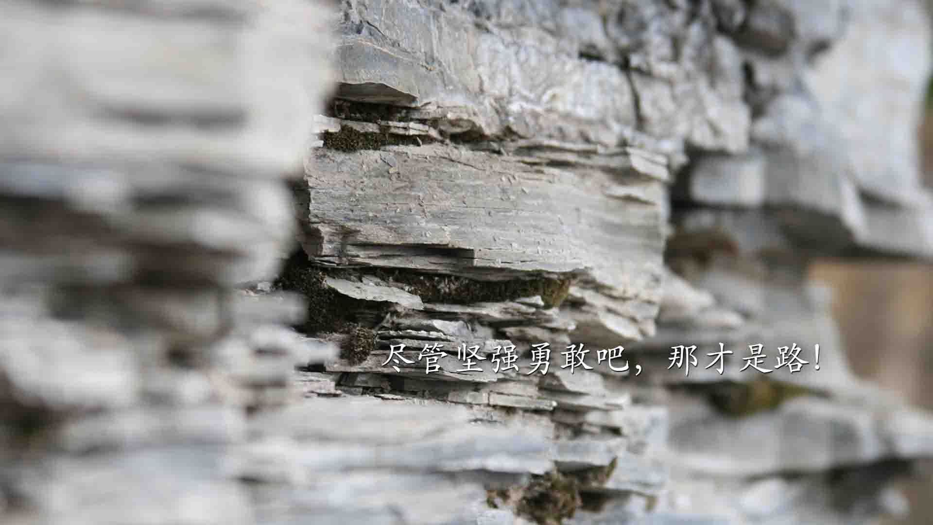 德国男子排球队在小组赛中表现出色，晋级八强，德国排球运动员