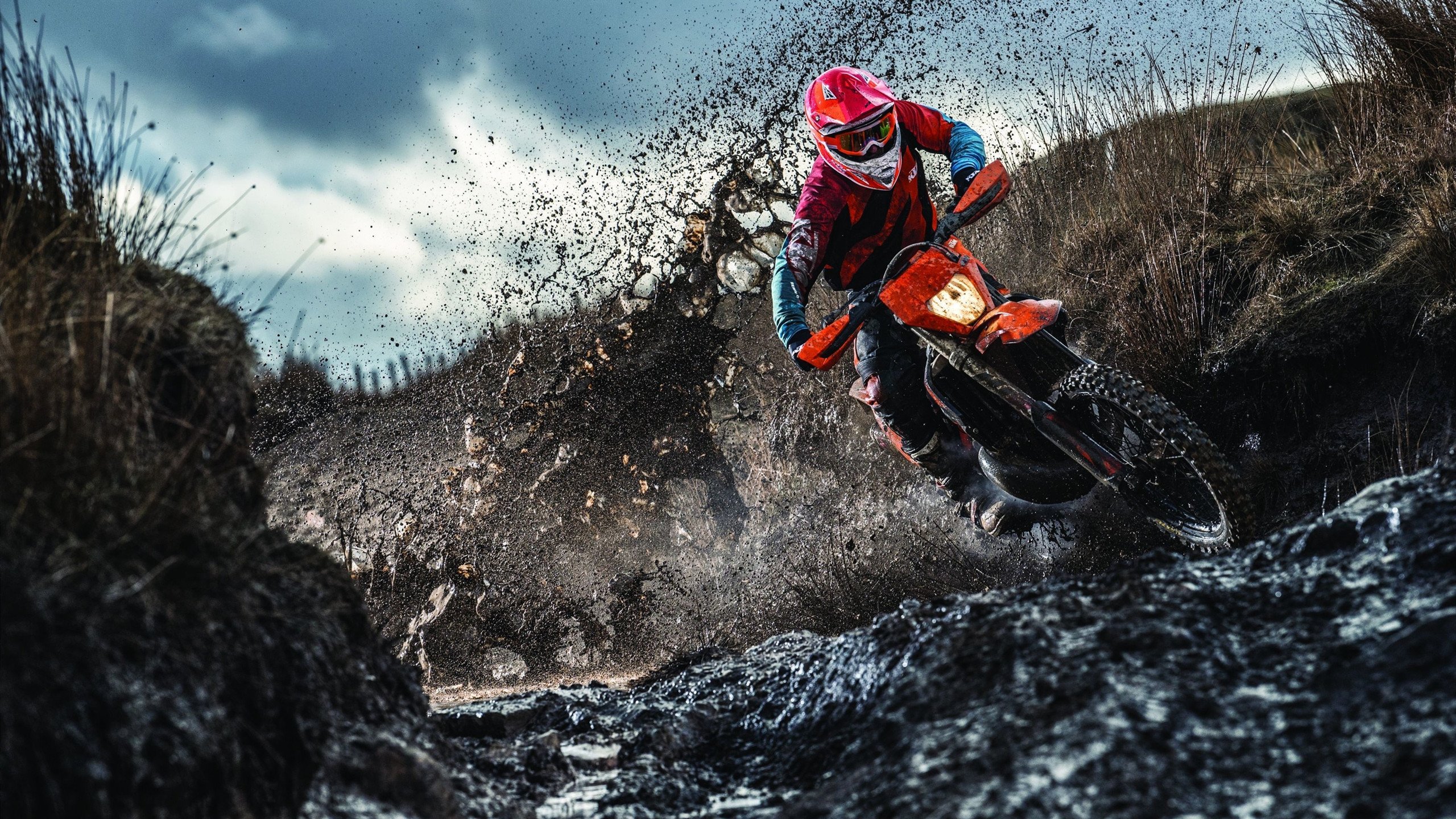 德甲力量与速度:攻防演绎极致!,德甲强度