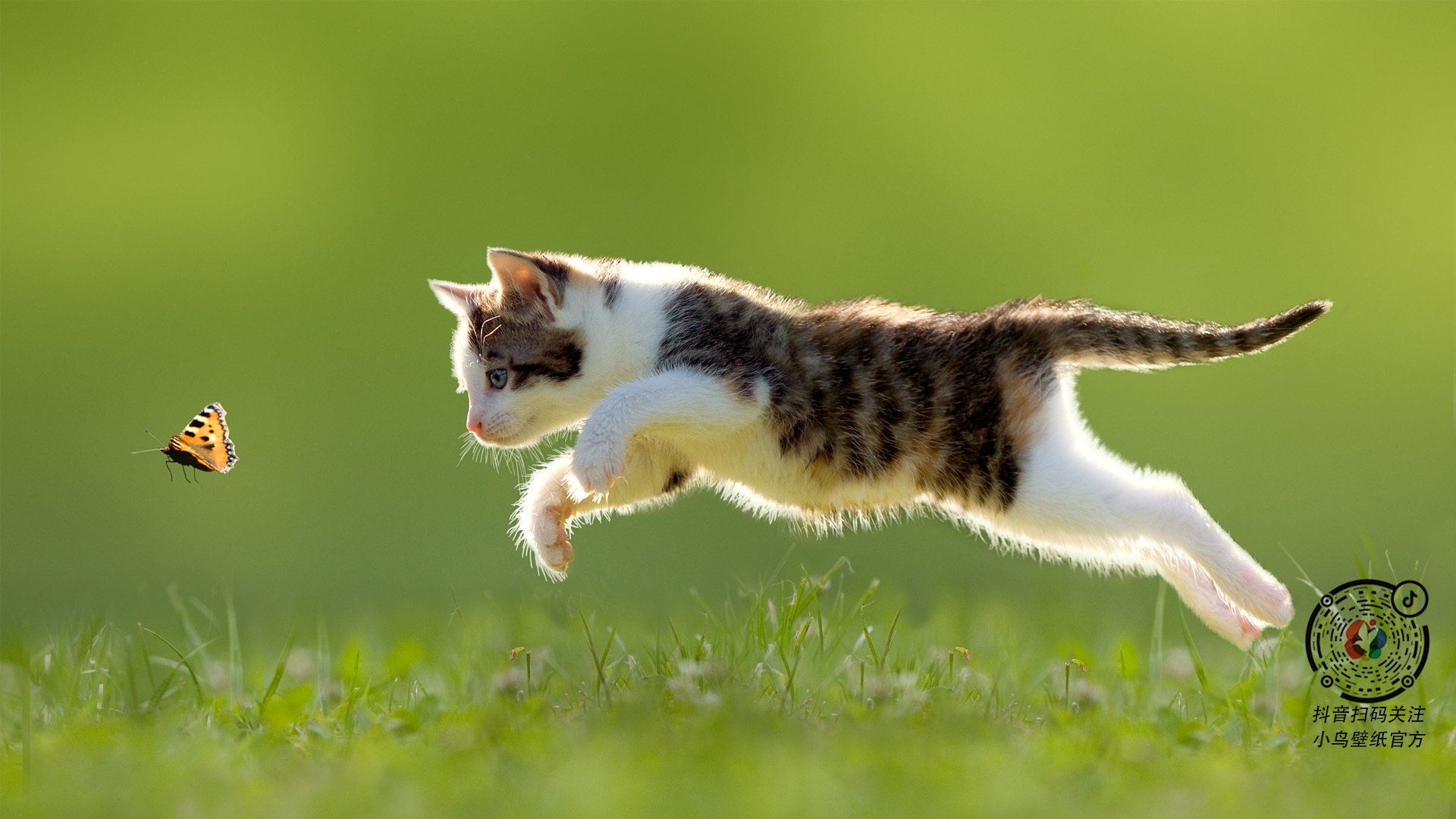 Jiu You-全国青少年“篮球文艺”融合比赛在北京圆满落幕，2021全国青少年篮球邀请赛