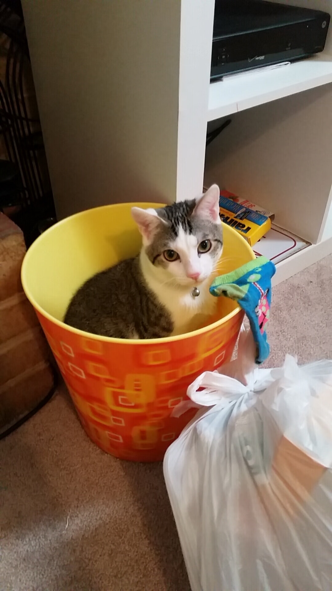 JiuyouAPP下载-战术创新：新颖打法革新比赛节奏，战术创新的方法有哪些