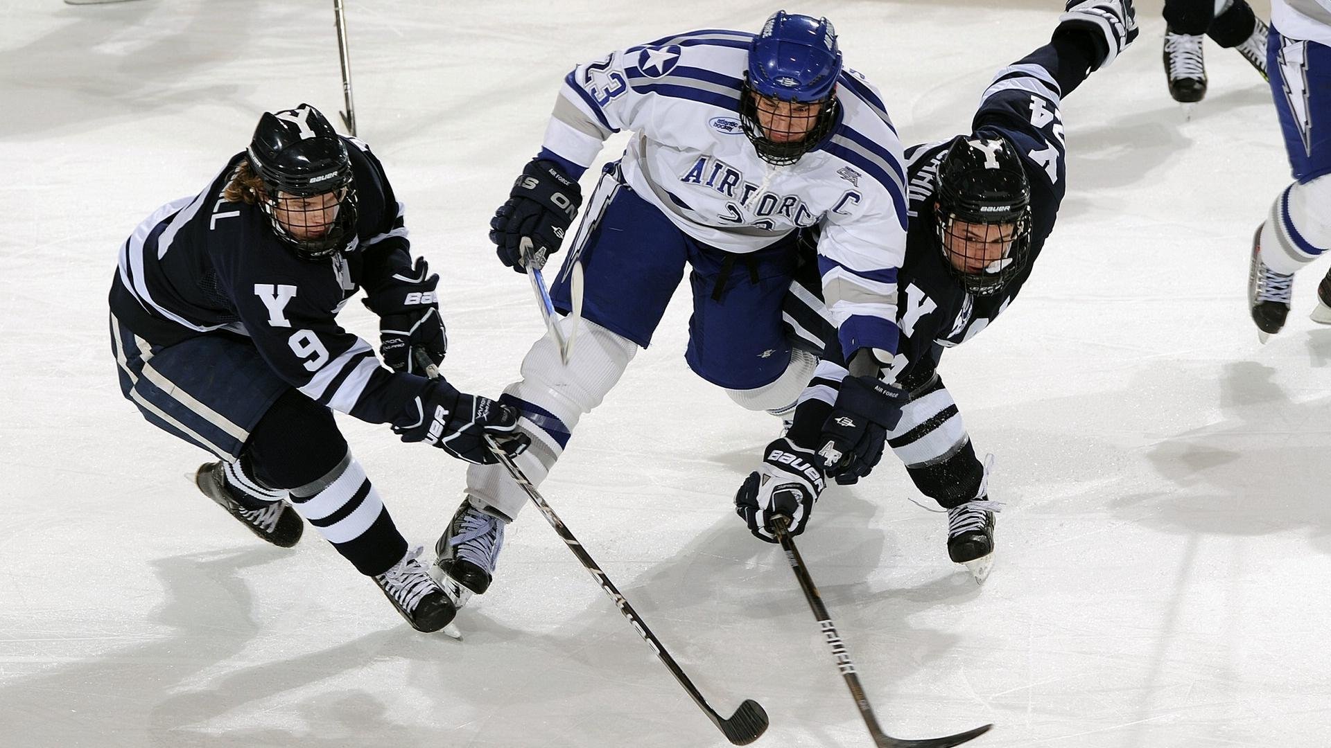 德甲球队的数字化粉丝服务，德甲球迷文化